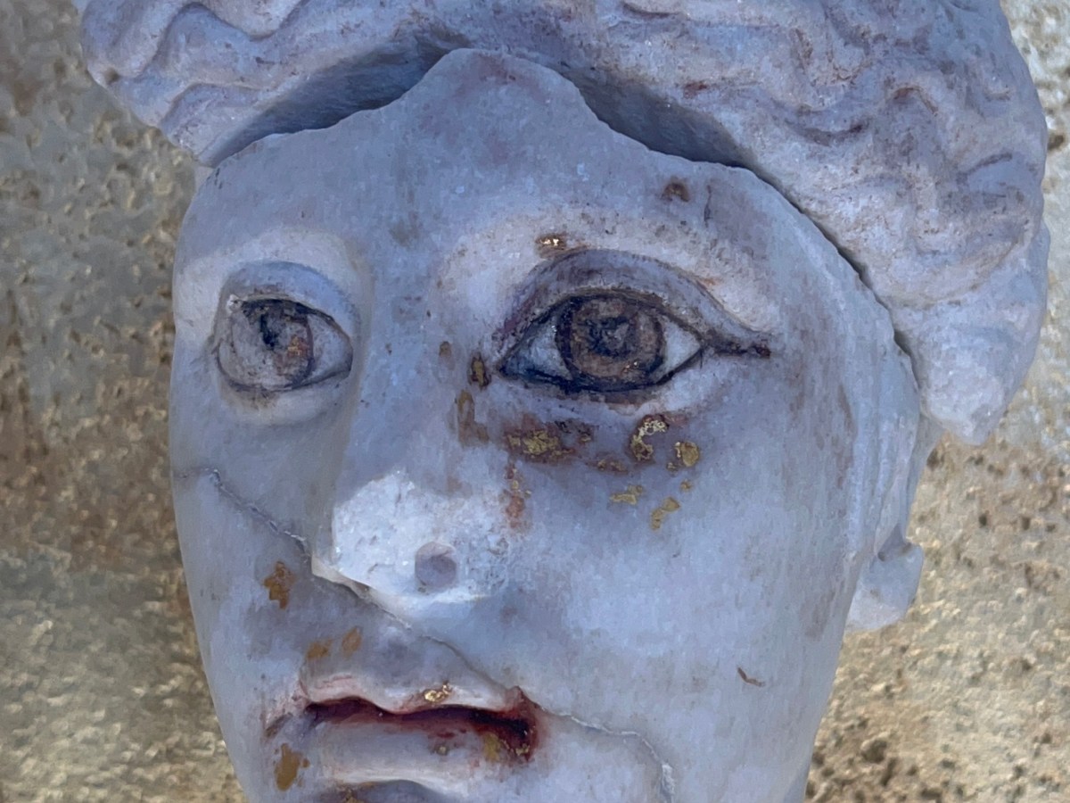 MAGNA MATER: la mostra al Foro&nbsp;Romano